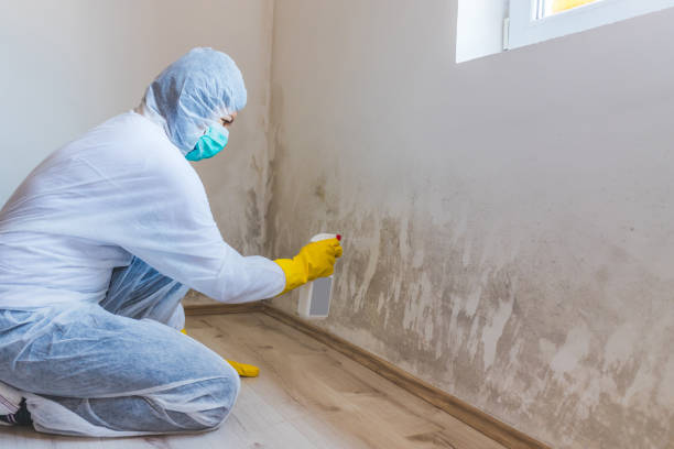 Licensed Crawl Space Mold Removal service in Charlestown, MA - WQB Mold Removal