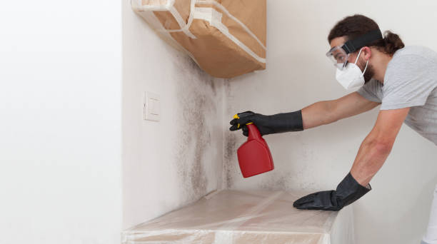 Professional Crawl Space Mold Removal technician working in Charlestown, MA
