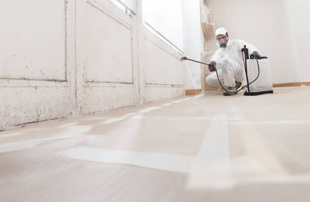 24/7 Emergency Crawl Space Mold Removal experts in Charlestown, MA