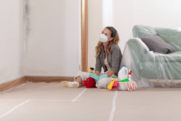 Reliable Crawl Space Mold Removal contractor in Charlestown, MA by WQB Mold Removal